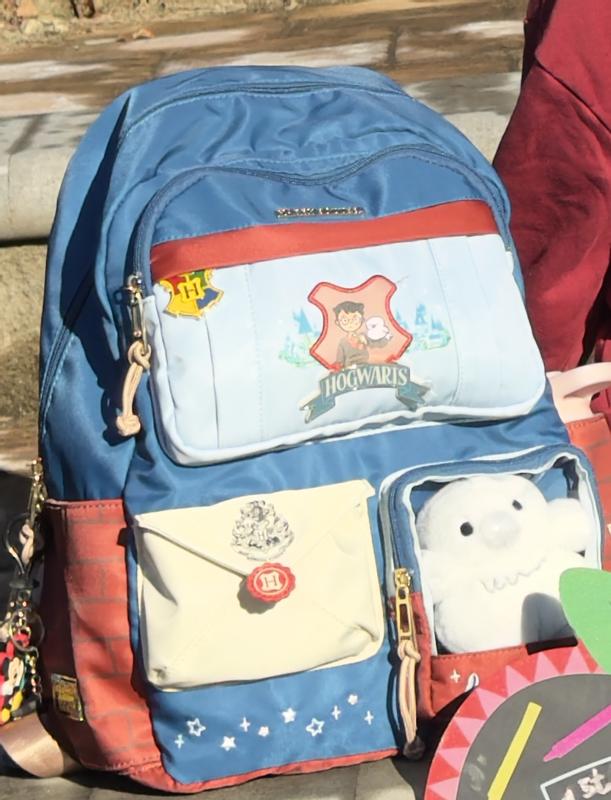 Harry Potter Hogwarts Multi-Pocket Backpack With Hedwig  display picture 1