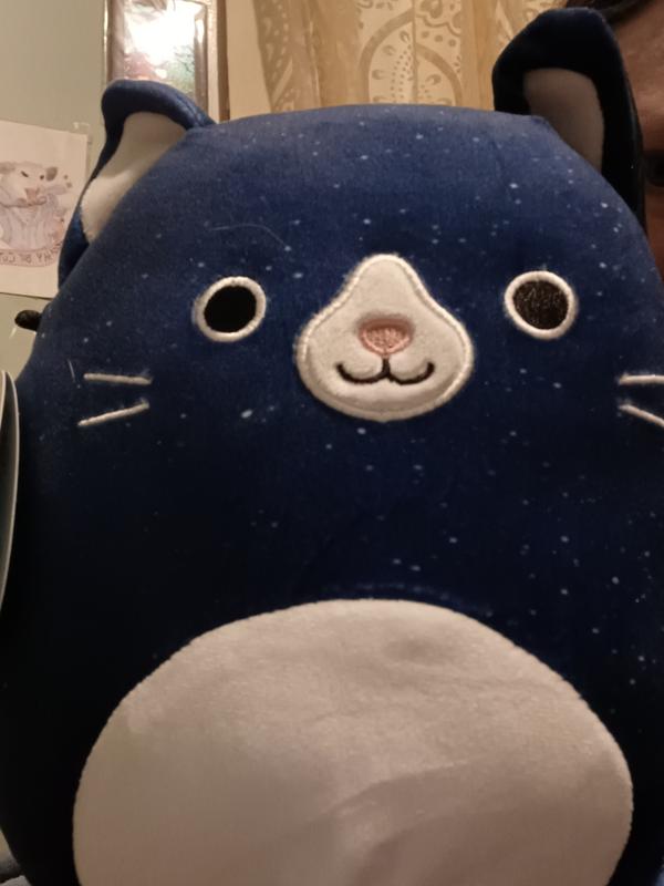 Rare Star Placement Danielito Cat top 8” Boxlunch Exclusive Squishmallow