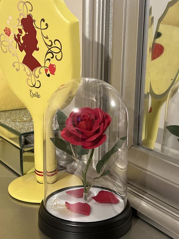 Enchanted Rose beauty and the beast - 40x50cm / 16x20in / Frameless