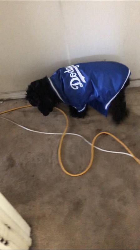 MLB LA Dodgers Pet Dugout Jacket, BoxLunch