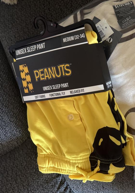 Peanuts Charlie Brown Stripe Allover Print Sleep Pants — BoxLunch