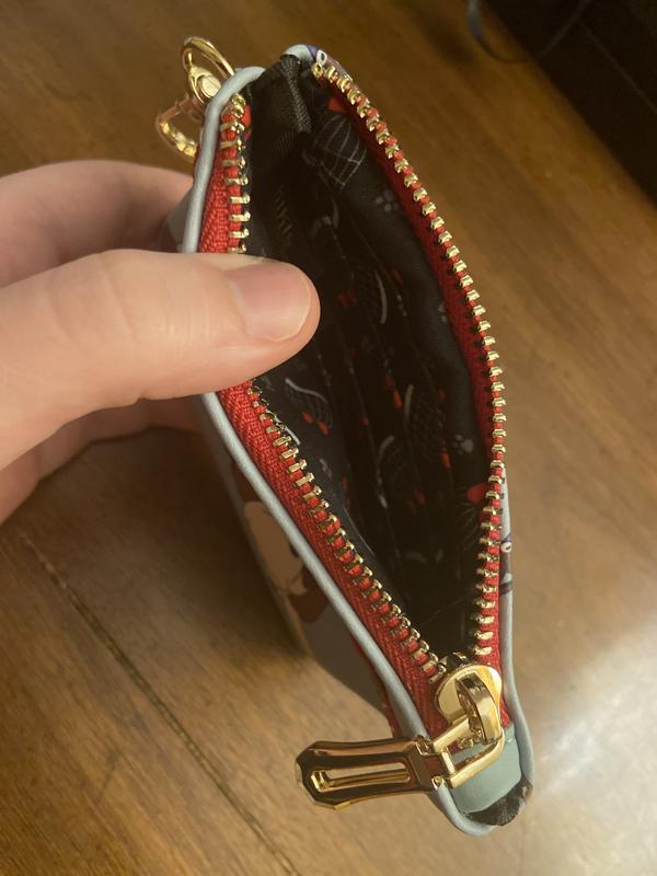 Viewer Request: What fits inside of a Louis Vuitton Zippy Coin Purse Wallet  Review 