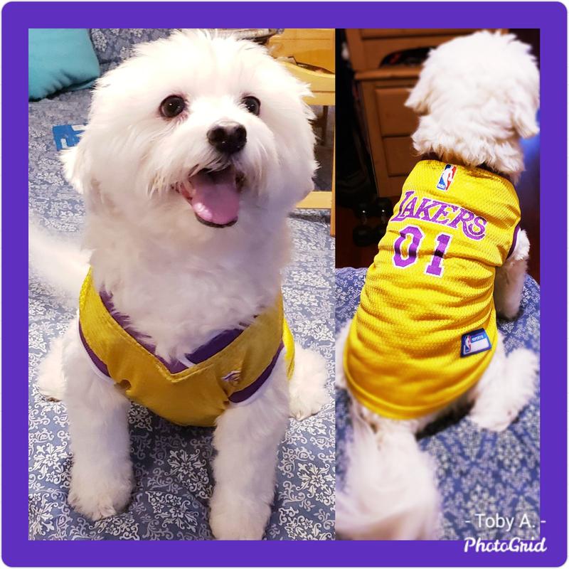 lakers dog jersey 24