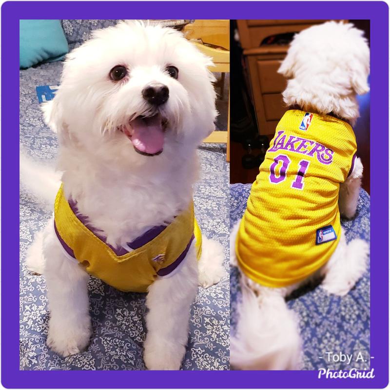 dog lakers jersey