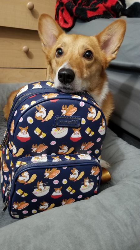 Loungefly on sale corgi backpack