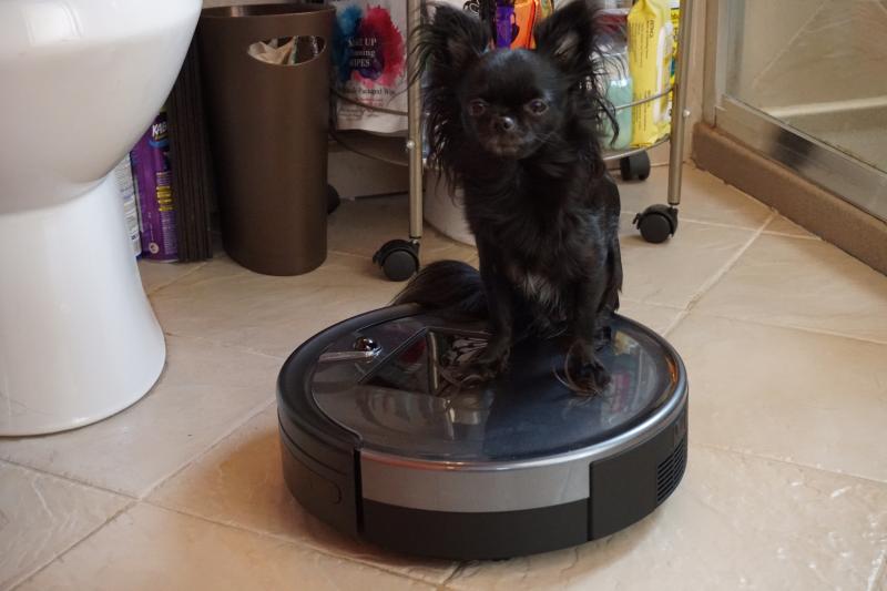 Getting a ride while bOb cleans up!