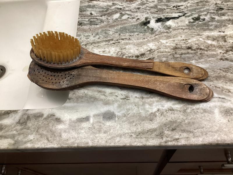 THE BODY BRUSH