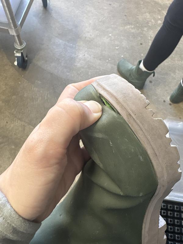 Review Thumbnail Image 1 381874255