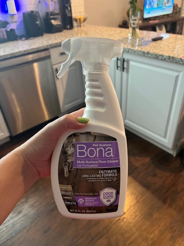 Photo - commentaire 8.