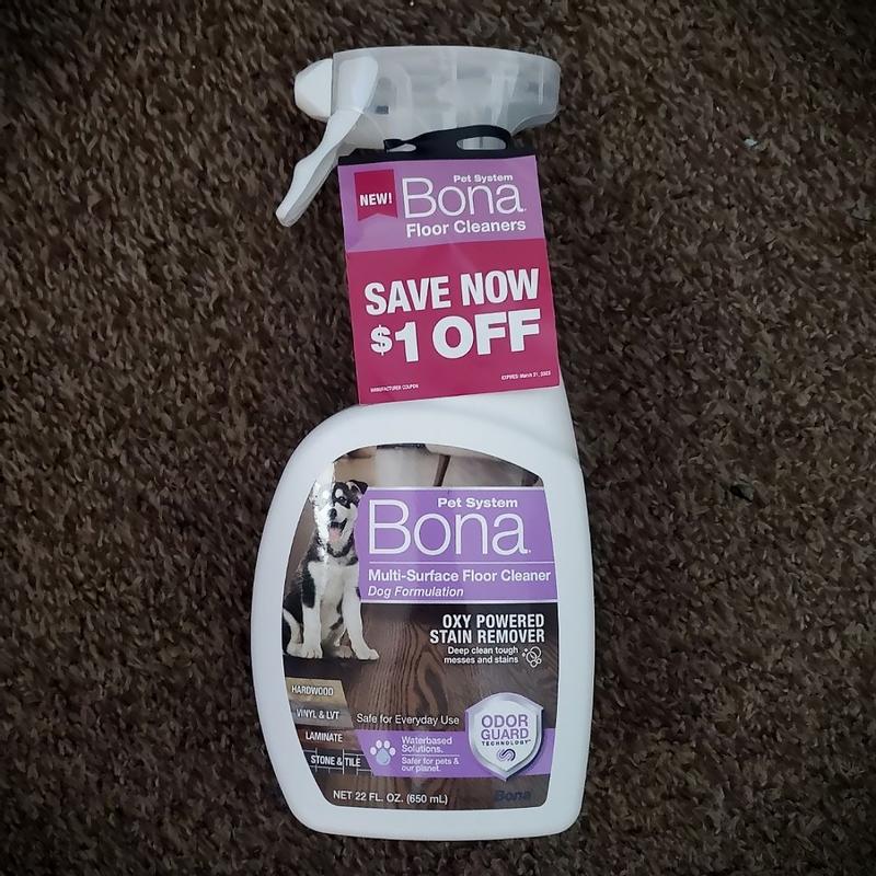 Photo - commentaire&nbsp;5.