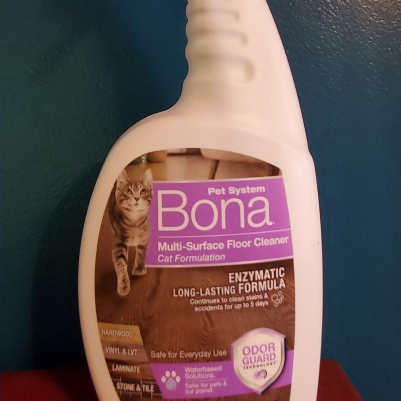 Top Bona Products for Cat Lovers 