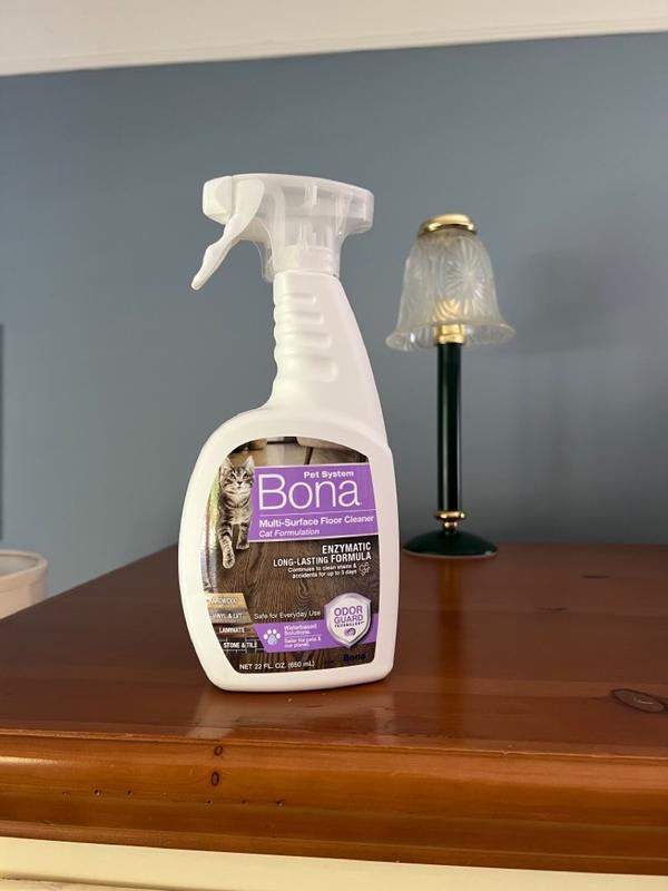 Photo - commentaire 6.