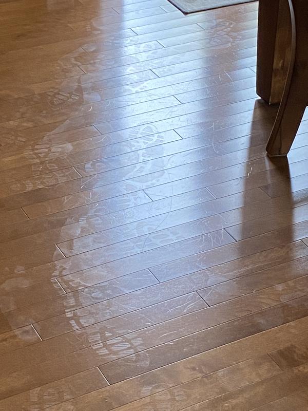 Shoe and foot prints everywhere you walk!