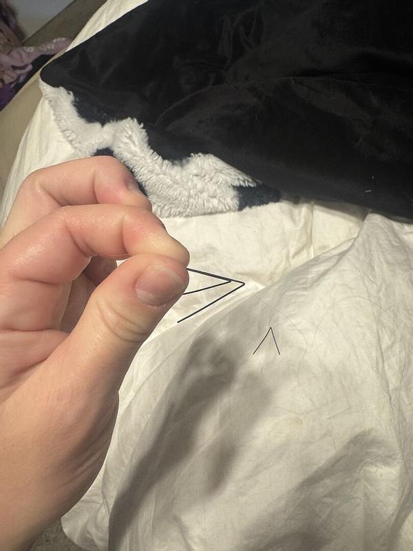 Customer photo for "Bristles Fall OUT"