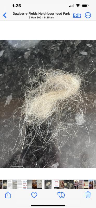 Customer photo for "Hi l have been using"