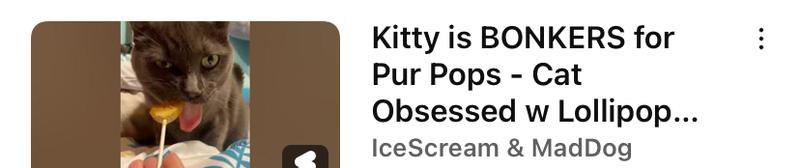 Check out our YouTube Short of our hilarious cat going bonkers for Purr Pops!