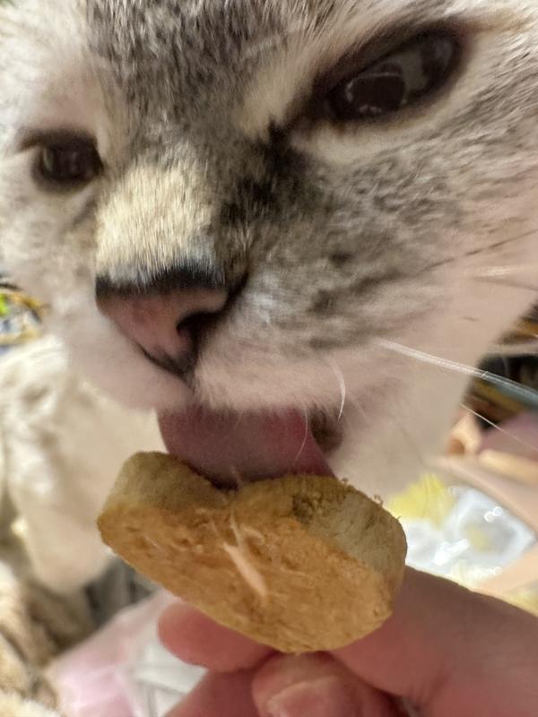 Meowma holding my pop while I lick the tuna away.