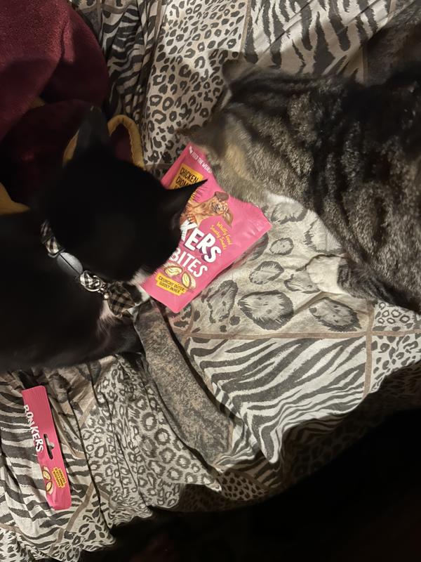 Photo - commentaire 2.