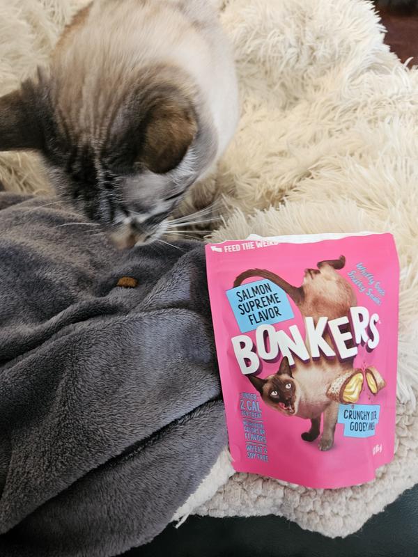 Bonkers for Bonkers!