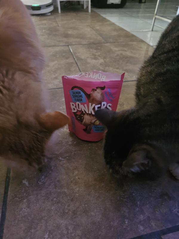 Going bonkers for some BONKERS cat treats!
