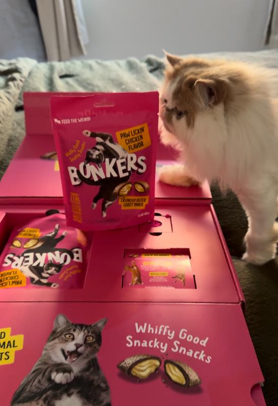 Jerry sniffing out his new treats!