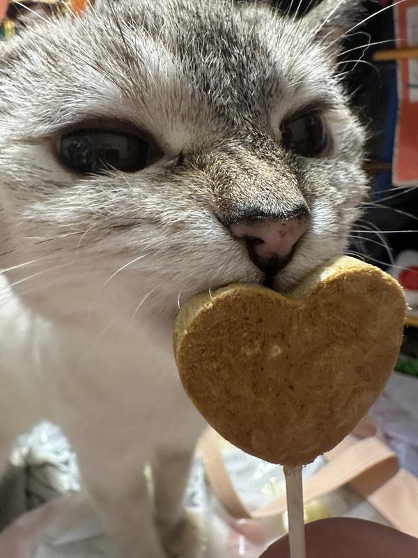 Lick lick lick
