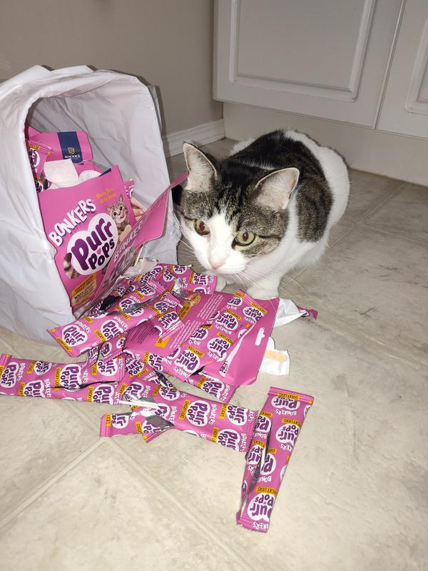 I need more treats Papa