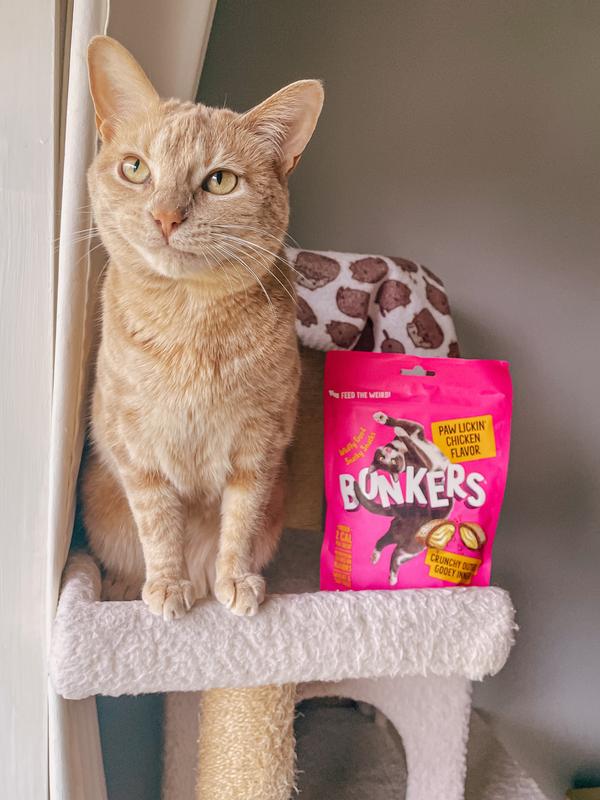 Freya & Bonkers