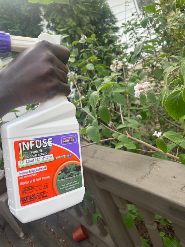 Bonide Infuse Moss Killer RTS Hose End Concentrate 32 oz in the Weed ...