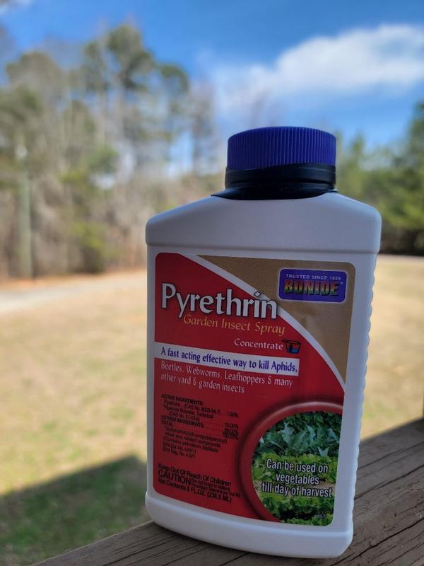 Reviews for Bonide Pyrethrin Garden Insect Spray Concentrate, 8 oz.  Ready-to-Mix Fast Acting Insecticide for Outdoor Garden Use | Pg 2 - The  Home Depot