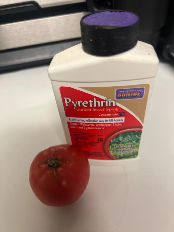 Bonide Pyrethrin Spray Organic Insect Killer Liquid Concentrate 16 oz ...