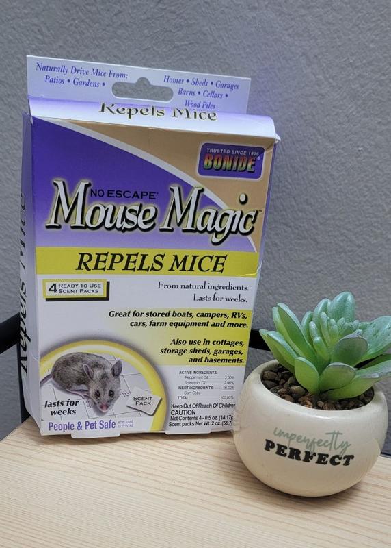 Mouse Magic Repellent - Natural Peppermint Mouse Repellent by Bonide