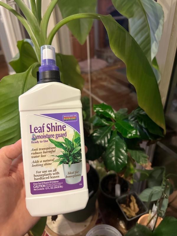 Leaf Shine & Moisture Guard Spray Ready-to-Use - Bonide