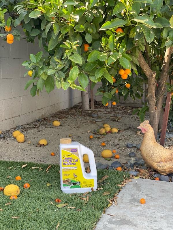 Go away rabbit dog and cat repellent sale