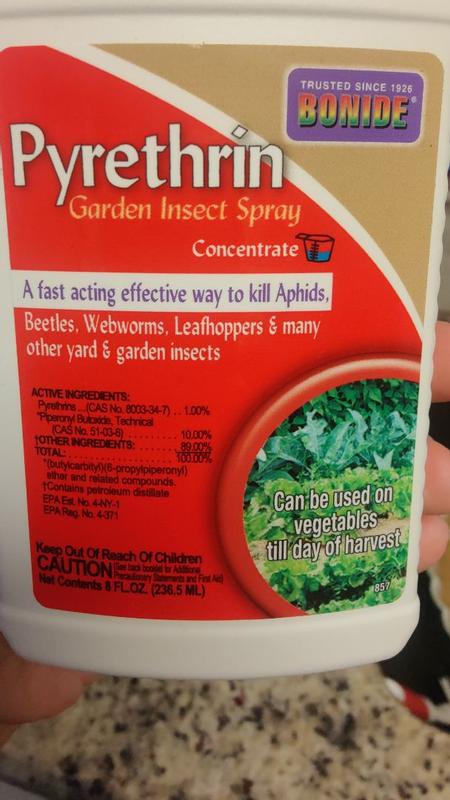 Reviews for Bonide Pyrethrin Garden Insect Spray Concentrate, 8 oz.  Ready-to-Mix Fast Acting Insecticide for Outdoor Garden Use | Pg 2 - The  Home Depot