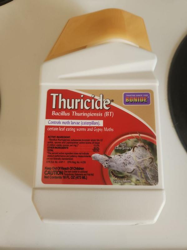 Bonide Thuricide 16 oz Organic Insect Killer Liquid Concentrate in the ...