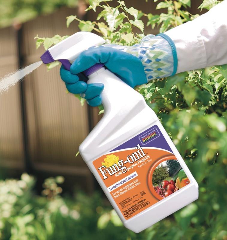 Bonide Fung-onil Multi-Purpose Fungicide Spray - 32 oz Ready-to-Use for ...