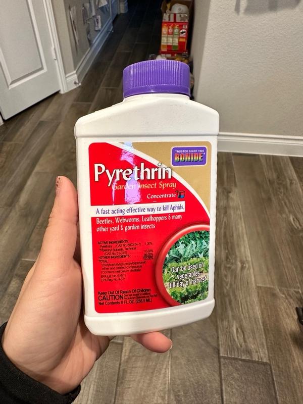 Reviews for Bonide Pyrethrin Garden Insect Spray Concentrate, 8 oz.  Ready-to-Mix Fast Acting Insecticide for Outdoor Garden Use | Pg 2 - The  Home Depot