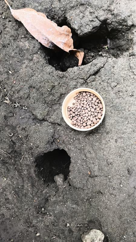 BONIDE MoleMax Mole and Vile Repellant Granules