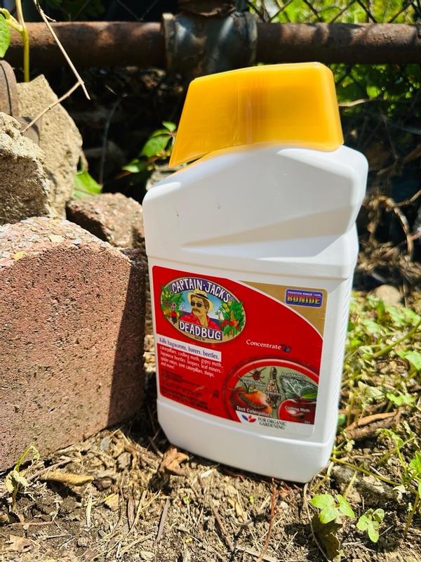 Bonide 1-Quart Captain Jack's Concentrate Natural Garden Insect Killer ...