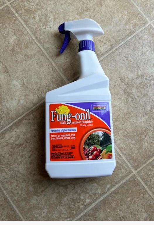 Bonide Fung-onil Multi-Purpose Fungicide Spray - 32 oz Ready-to-Use for ...