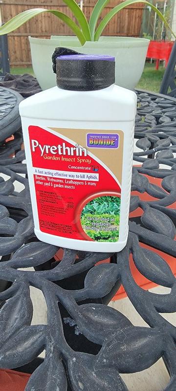 pine bark for potting mix DUSPRO Orchid Potting Mix with Moss Pine Bark Mulch Perlite Stone & Co   Fleurings
