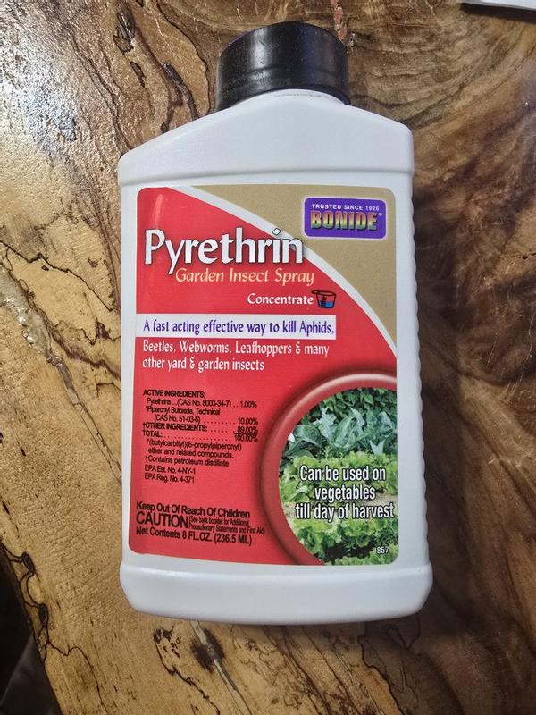 Bonide Pyrethrin Spray Organic Insect Killer Liquid Concentrate 16 oz ...