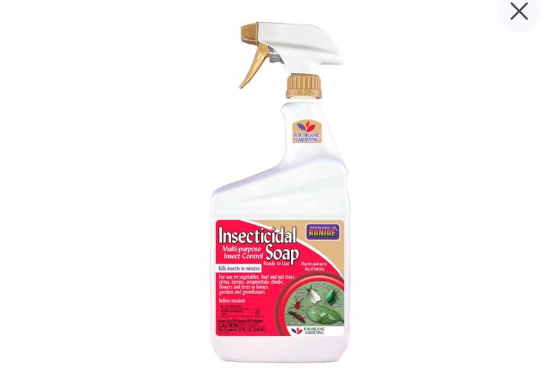 Bonide Insecticidal Soap (1 Qt)