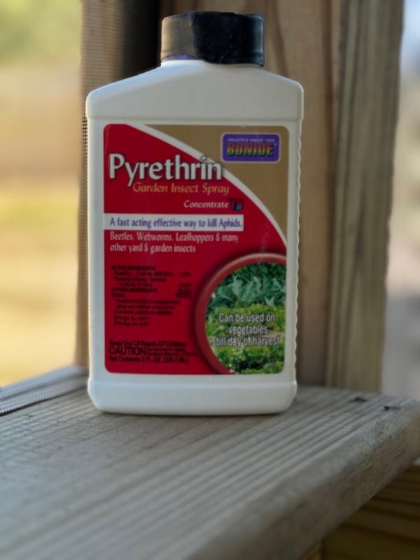 Bonide Pyrethrin Spray Organic Insect Killer Liquid Concentrate 16 oz ...