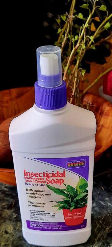Bonide Insect Killing Soap Liquid 12 oz in the Insect Repellents department  at Lowes.com