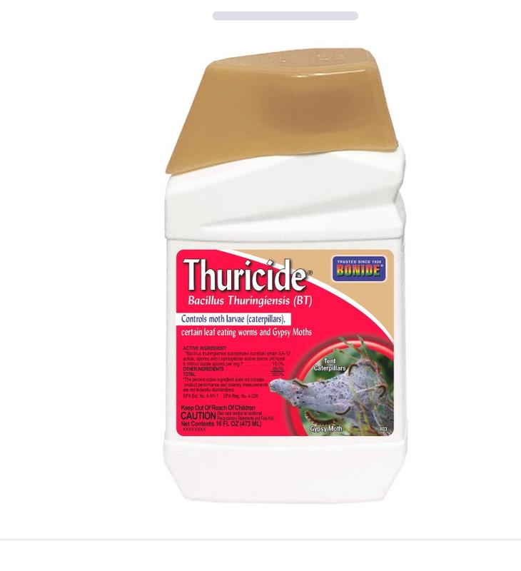 Bonide Thuricide 16 oz Organic Insect Killer Liquid Concentrate in the ...
