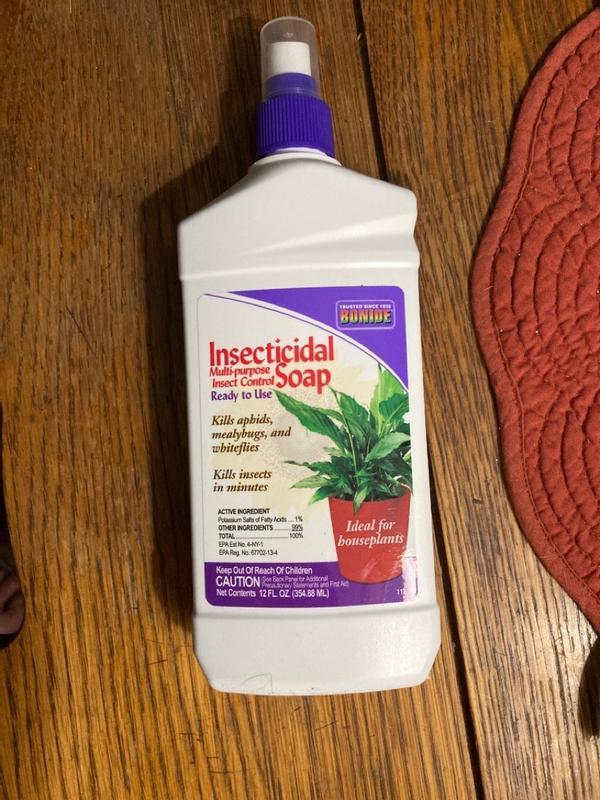 Bonide Insect Killing Soap Liquid 12 oz in the Insect Repellents department  at Lowes.com