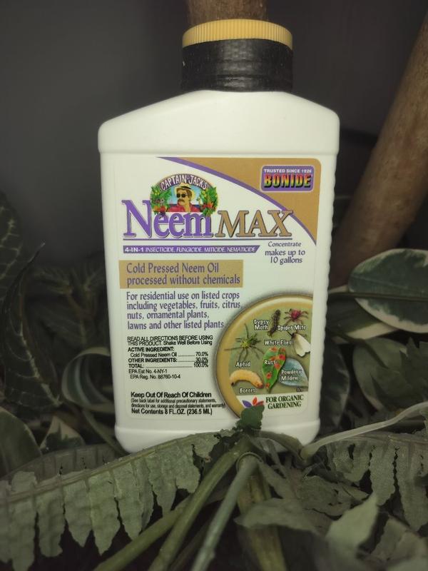 Bonide Captain Jack's Neem Max - Aerosol de aceite de neem prensado en frío  de 64 onzas para plantas de interior o exterior y jardinería orgánica