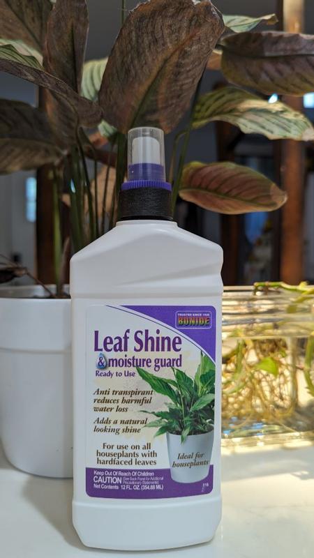 Leaf Shine & Moisture Guard Spray Ready-to-Use - Bonide